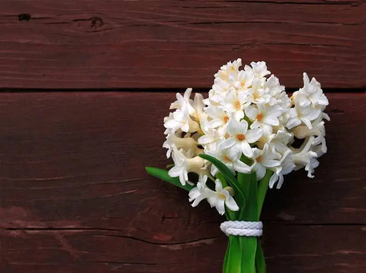 Sympathy Bouquets: How to Convey Comfort and Support with Flowers