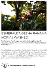 noria washed